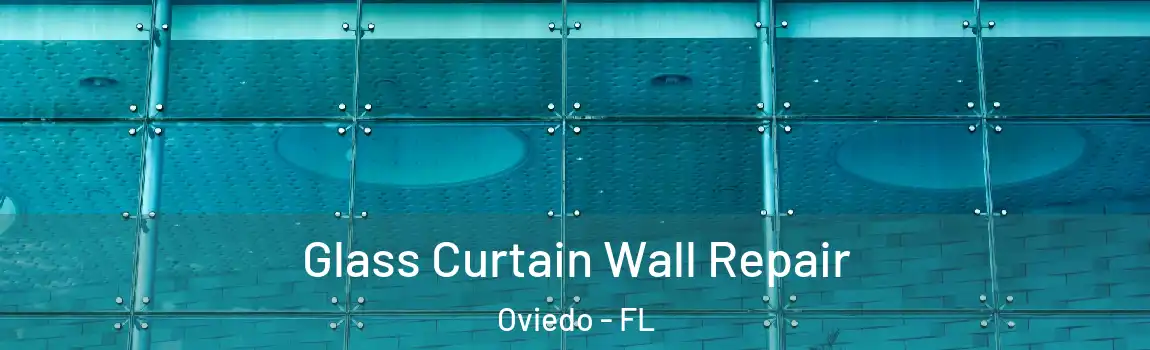 Glass Curtain Wall Repair Oviedo - FL
