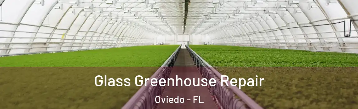 Glass Greenhouse Repair Oviedo - FL