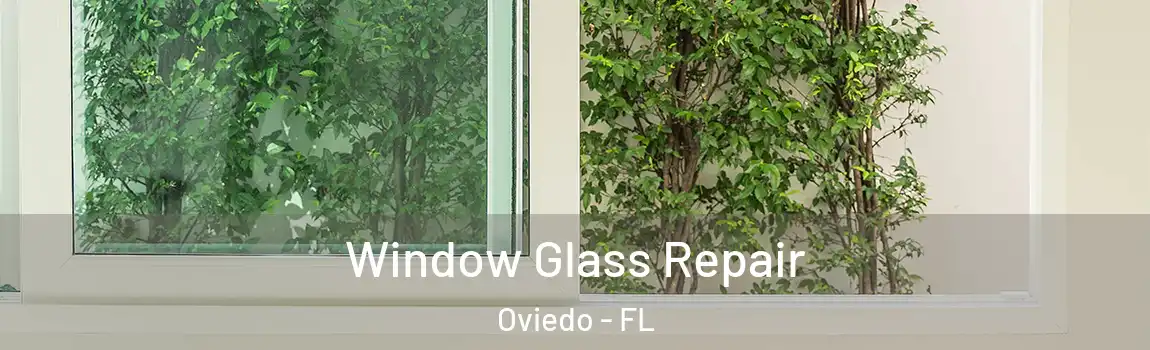 Window Glass Repair Oviedo - FL